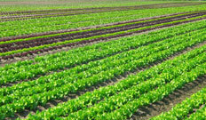 山東礦安重工有限公司